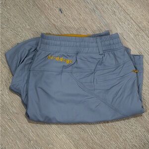Birddogs Shorts - Gray